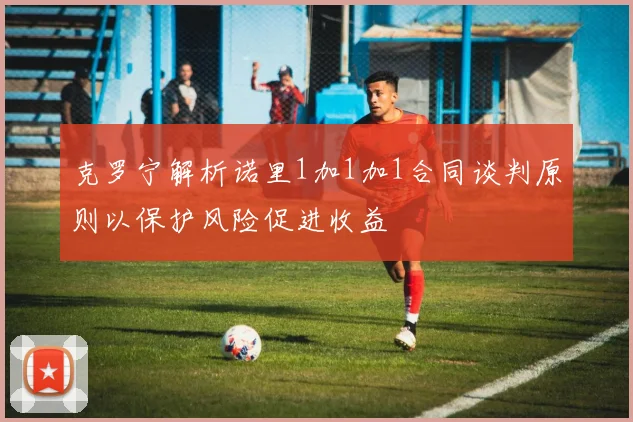 克罗宁解析诺里1加1加1合同谈判原则以保护风险促进收益