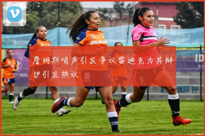 詹姆斯哨声引发争议雷迪克为其辩护引发热议